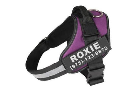 Personalized No-Pull Dog Harness – Reflective, Breathable, Adjustable Vest